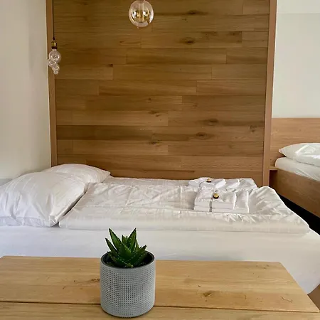 Geidorf Residenz - Serviced Apartments&parking * Graz