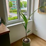 Apartament Geidorf Residenz - Serviced & Parking Graz