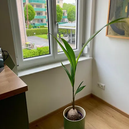 公寓 Geidorf Residenz - Serviced & Parking 格拉茨