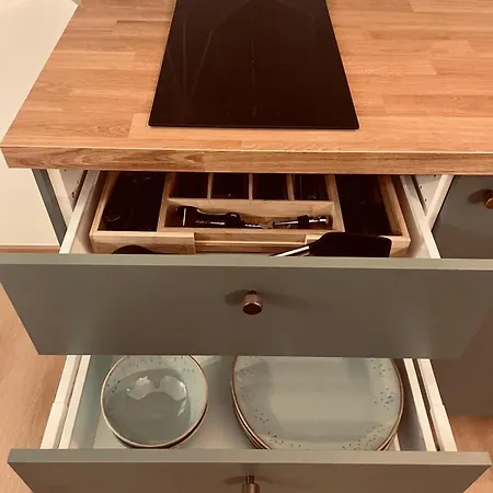 Geidorf Residenz - Serviced & Parking Daire Graz