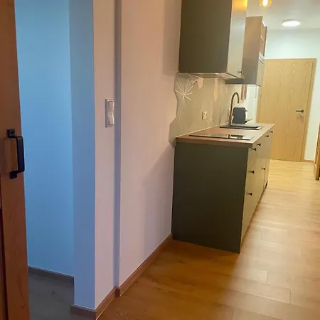 Appartement Geidorf Residenz - Serviced & Parking *