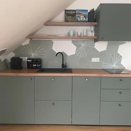 Geidorf Residenz - Serviced & Parking Daire Graz