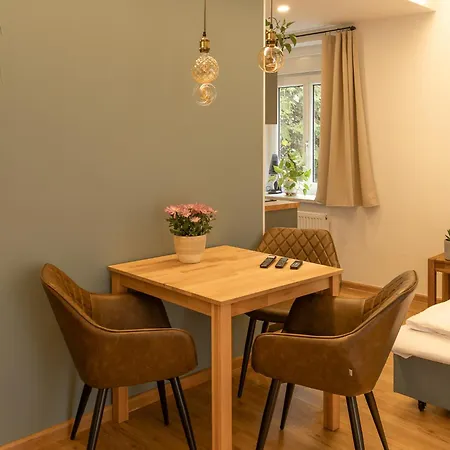 Appartement Geidorf Residenz - Serviced & Parking *