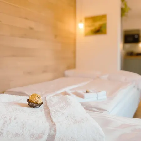 Appartement Geidorf Residenz - Serviced & Parking *