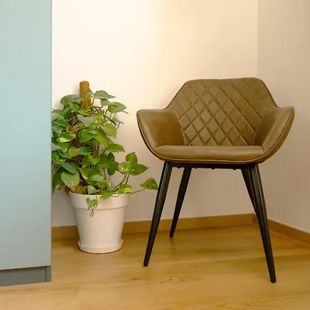 Geidorf Residenz - Serviced & Parking Appartement Graz
